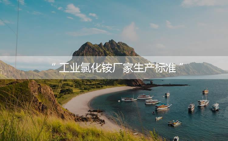 工業(yè)氯化銨廠家生產(chǎn)標(biāo)準(zhǔn)，生產(chǎn)過程進(jìn)行嚴(yán)密的監(jiān)控！